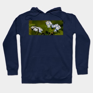 Forget-me-not Panorama Hoodie